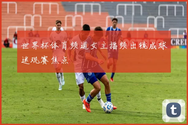 世界杯体育频道女主播频出镜成球迷观赛焦点