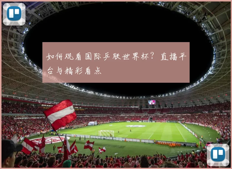 如何观看国际乒联世界杯？直播平台与精彩看点