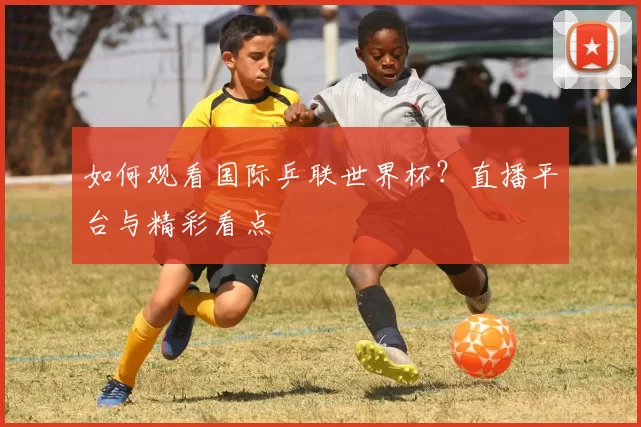 如何观看国际乒联世界杯？直播平台与精彩看点