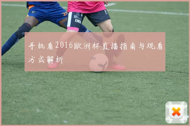 手机看2016欧洲杯直播指南与观看方式解析
