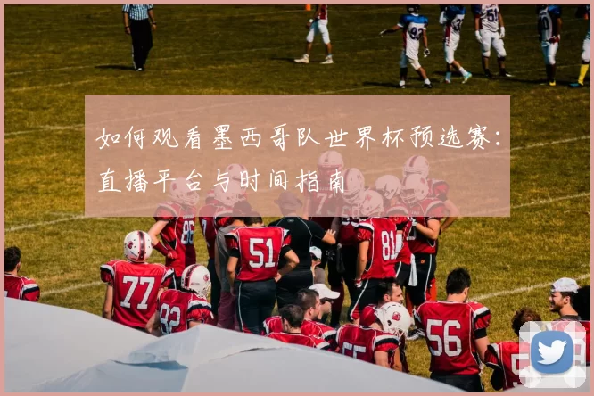 如何观看墨西哥队世界杯预选赛：直播平台与时间指南