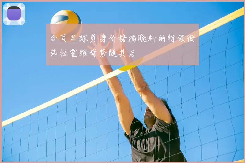 合同年球员身价榜揭晓科纳特领衔弗拉霍维奇紧随其后