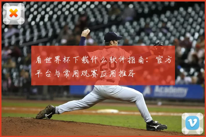 看世界杯下载什么软件指南：官方平台与常用观赛应用推荐