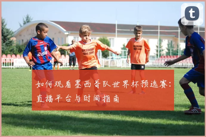 如何观看墨西哥队世界杯预选赛：直播平台与时间指南